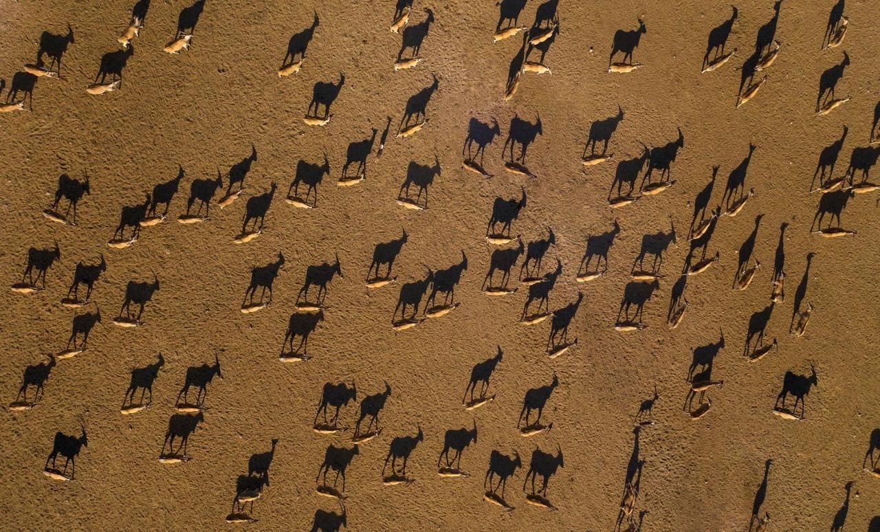 Anantara Sir Bani Yas Island Al Yamm Villa Resort Da'sah Eksteriør bilde